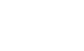 The Ness Group